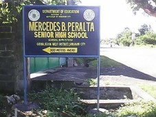 2.7 HECTARES FOR SALE BESIDE MERCEDES B. PERALTA HIGH SCHOOL