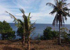 5-hectare Prime Residential Lot for Sale, with Ocean View, in Lazi, Siquijor