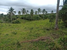 Agriland for Greenhouse Farming in Tagaytay. Tagaytay-Silang boundary