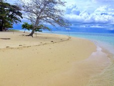 BEAUTIFUL Island and Sandbar for sale