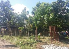 Farm Lot in Tagaytay
