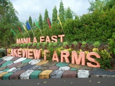 Farm/Residential Lot at Manila East Lakeview Farms