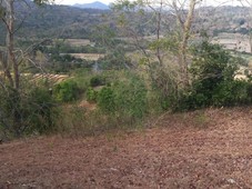 For Sale 1.7 Hectares Vacant Lot in San Joaquin, Iloilo