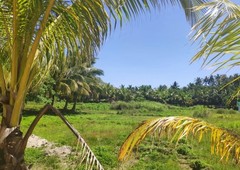 Lot for Rent or Sale in Siargao (5 mins from Cloud 9)