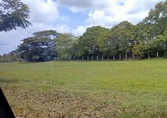 Manila Southwood Residential Estate Golf and Country Club Lot CASH OR TERM