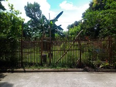 Rush sale of Residential Land at San Esteban Village, Bago City, Negros Occidental