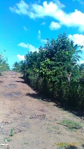 Farm Lot For SAle in Amadeo For Sale Philippines