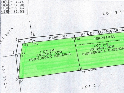 Plot of land Tabaco For Sale Philippines