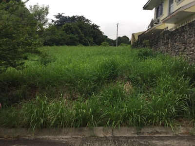 180sqm Lot in elevated area 10mins from San Pedro Exit