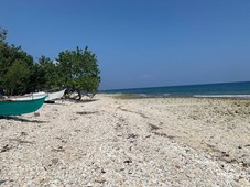 1,992 Sqm Beach Lot For Sale in Oslob, Cebu