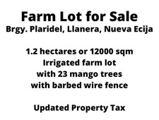 Agricultural Lot for Sale @ Brgy Plaridel, Llanera, Nueva Ecija