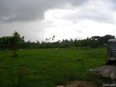 121 Sqm Residential Land/lot Sale In Candelaria