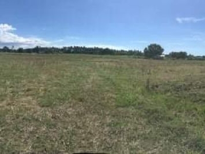 Farm Lot and Agricultural Land Class A for sale at Pagsanjan, Laguna