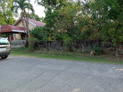 500 sqm Residential Farm Lot For Sale near CAVSU Indang, Cavite