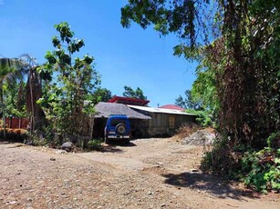 Lot For Sale In Sagay, Negros Occidental