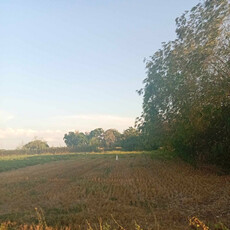 Lot For Sale In Santa Ines, Manaoag