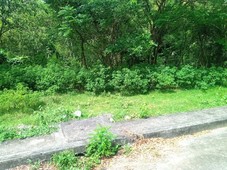 Affordable Residential Lot for Sale in Cebu City 181sqm GS