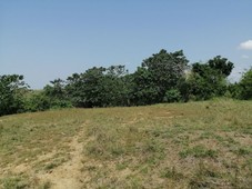 FOR RENT! AGRICULTURE LOT GOOD FOR POULTRY BUSINESS - 2KM FROM NATIONAL ROAD ALONG CEMENTED BRGY ROAD