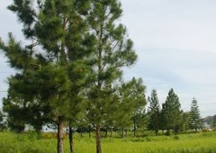 LOT ONLY FOR SALE IN ILOILO CITY