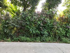 TAGAYTAY WEATHER LOT FOR SALE IN FRONT OF STRAWBERRY FARM