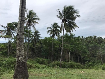 Lot For Sale In Aromahon, Laguindingan