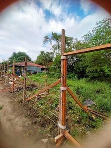 Lot For Sale In Toclong I-b, Imus