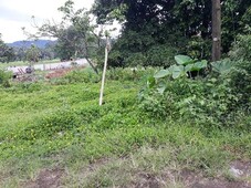 442sqm Lot for Sale in Greenville Subd. Lucban, Quezon Province