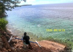 Residential Lot Near Beach - For Sale - Camotes Island, Cebu