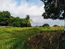 3 hectares Titled Farm lot in Tuy, Batangas at P380 per sq.m