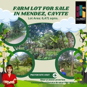 Lot For Sale In Mendez, Cavite