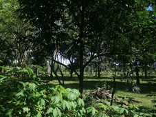 5.4HA Agricultural Land with 280+m frontage in Padre Garcia ,Batangas