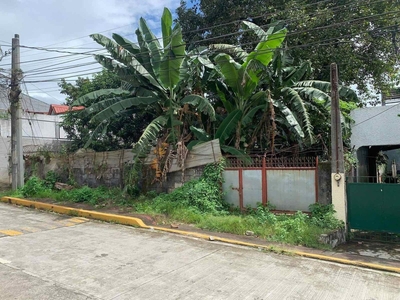 Vacant Lot for Sale in East Fairview, Quezon City, Metro Manila