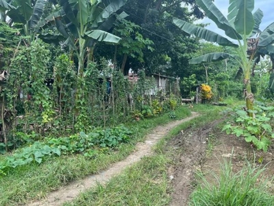 commercial lot for sale in panglao, bohol