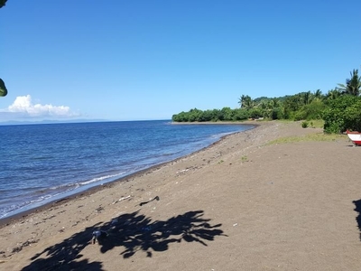 Beach lot for sale in Tiwi, Albay - an ideal investment for a beach farm/resort