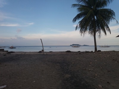 BEACH LOT FOR SALE WITH GREAT VIEW OF APO ISLAND