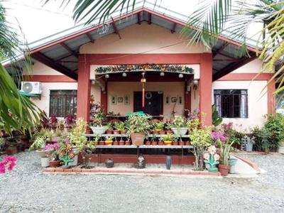 House For Sale In Lipay, Villasis