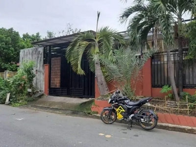 House For Sale In Pamplona Dos, Las Pinas