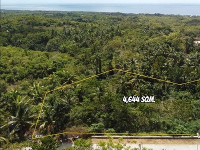Lot For Sale In Cambanac, Baclayon