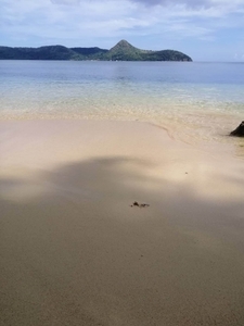 Lot For Sale In Decalachao, Coron