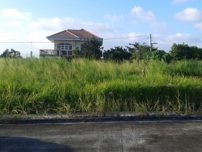 Lot For Sale In Ibabang Dupay, Lucena
