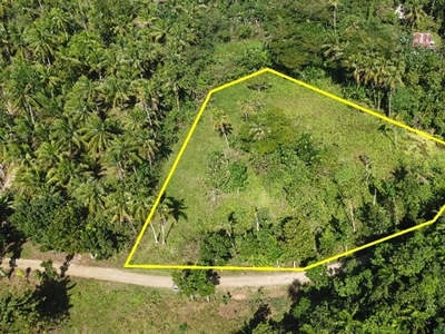 Lot For Sale In Libertad, Baclayon