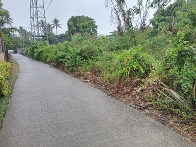 Lot For Sale In Mahabangkahoy Cerca, Indang