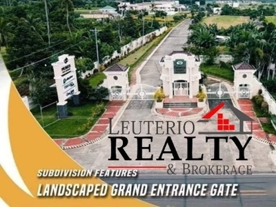 Lot For Sale In Pacol, Naga