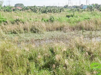 Lot For Sale In San Juan, Guagua