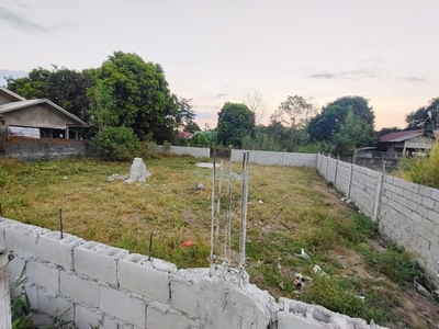 Lot For Sale In Tucop, Dinalupihan