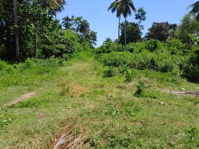 16 Hectares Commercial Lot property for sale at Taytay, Palawan
