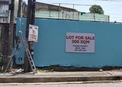 300sqm land with clean title