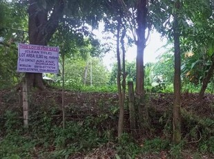 FARM LOT in Aya, Talisay, Batangas