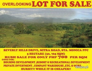 Lot for Development for Sale - Puerto Princesa Palawan
