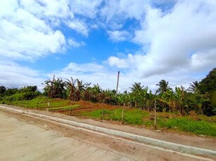 Lot For Sale In Litlit, Silang